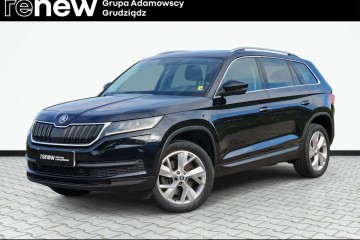 SalonPL 1WŁ. FV23% 4x4 Style Pakiet Comfort Grupa Adamowscy