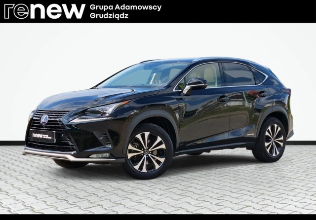 lexus